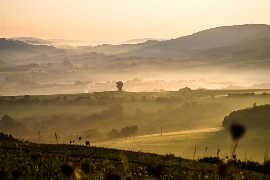 Vydejte se po naučných stezkách napříč čtyřmi regiony