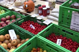 Farmářským a bleším trhům v Hodoníně končí sezona