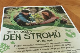 Jablonec se připojí ke Dni stromů