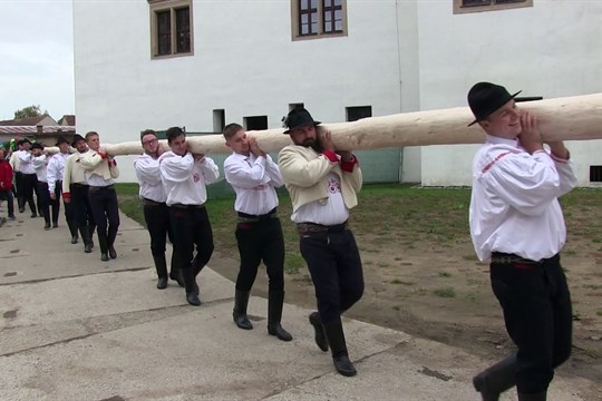 Na hody v Uherském Ostrohu letos dohlížela 24 metrů vysoká májka