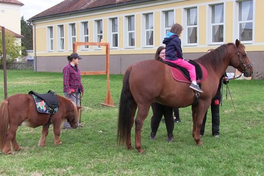 Odpoledne statkářství a řemesel nabídlo šlapání hroznů i jízdu na koni