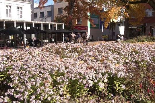 Ocenění Park čtvrtstoletí získal park Komenského