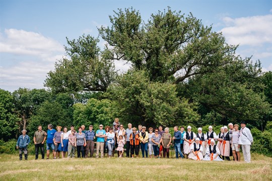 Hruška na Radovách z Uherského Hradiště je druhým nejoblíbenějším stromem v Česku