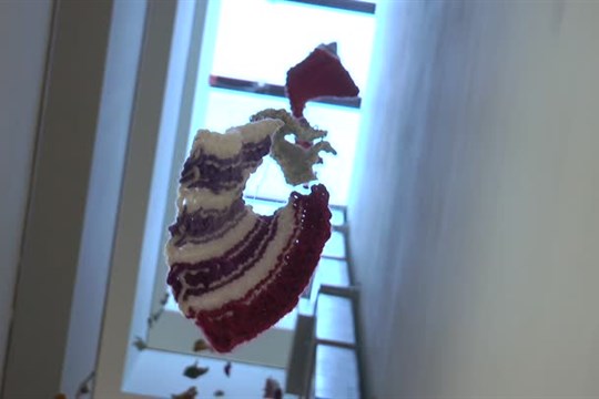 Studentské práce změní prostor centra RoSa pro seniory