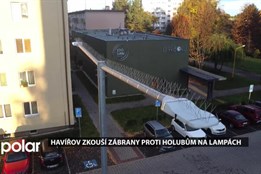 Havířov testuje nové zábrany, které mají zabránit holubům sedat na lampy
