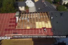 Střechu Dělnického domu v Horní Suché poničila kuna
