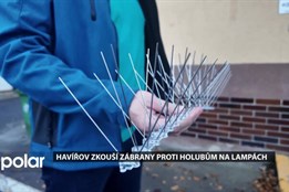 Tady už si nesedneš, Havířov zkouší zábrany proti holubům na veřejném osvětlení