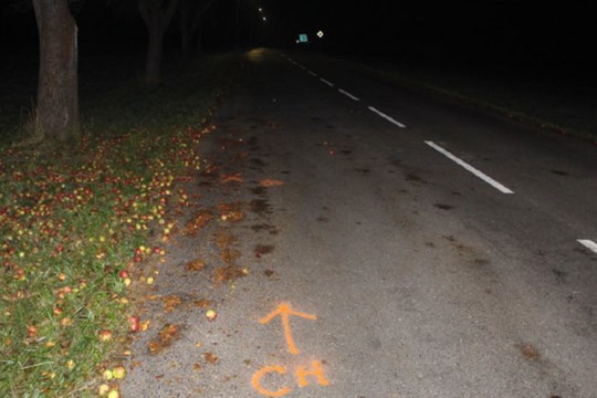 Policie pátrá po řidiči červeného auta, který srazil ženu u Tiché a ujel