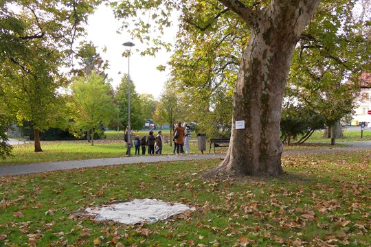 Děti si užily Den stromů v Jezuitské zahradě