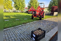 Přerov zahájil výsadbu cibulovin za 200 tisíc korun