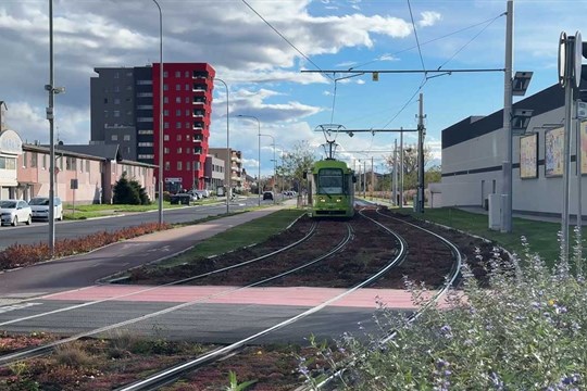 Olomouc hledá nejpřínosnější projekt pro rozvoj města – rozhodnout mohou sami obyvatelé