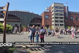 Zoo Ostrava nabízí celoroční program i novinky. Návštěvníci se mohou těšit na tučňáky