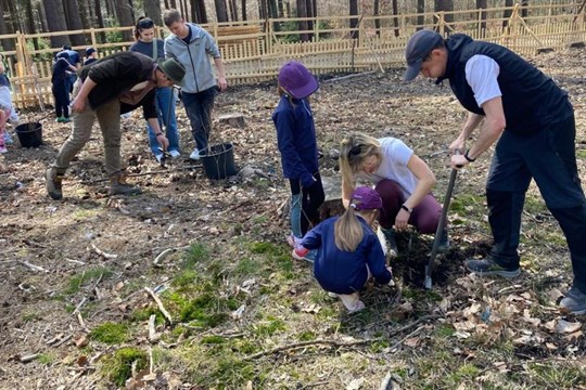 Plzeň uspořádá Den pro les, dobrovolníci budou sázet stromy