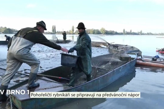 Pohořeličtí rybníkáři se připravují na předvánoční nápor
