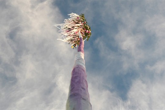 Hodové období ve Veselí definitivně ukončilo pokácení máje