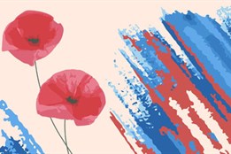 Do Rokycan dorazí 20 válečných veteránů. Město si připomene Den veteránů