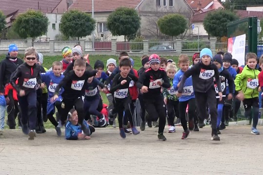 Sokolové v Lužicích oslavili státní svátek Během republiky