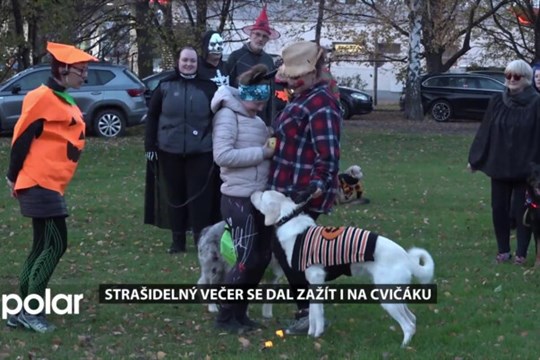 Strašidelný večer se dal zažít i na psím cvičáku