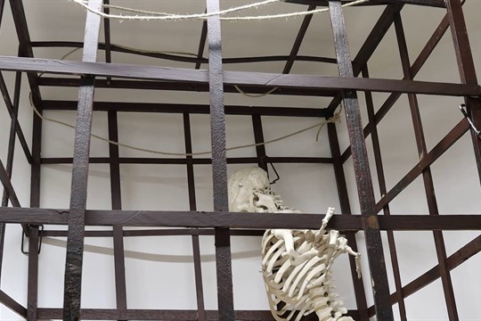 V muzeu ve Veselí si můžete vyzkoušet pranýř nebo kládu