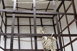 V muzeu ve Veselí si můžete vyzkoušet pranýř nebo kládu