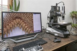 Muzeum Olomouc odhaluje přírodní dědictví digitálním mikroskopem