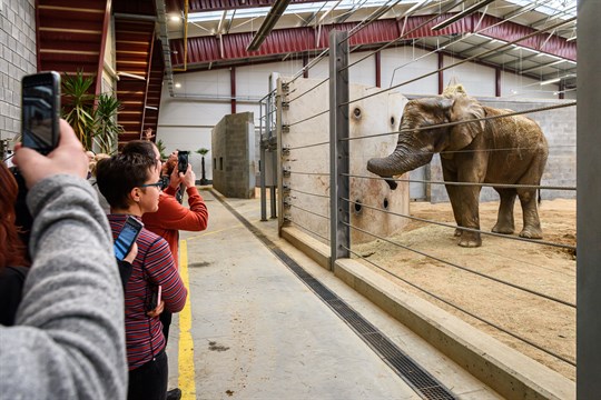 Zlínská zoo zve na speciální prohlídky chovného zařízení pro slony