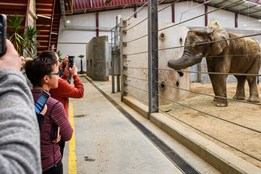 Zlínská zoo zve na speciální prohlídky chovného zařízení pro slony