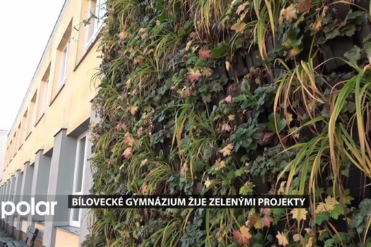 Bílovecké gymnázium žije zelenými projekty. Letos se chlubí živou fasádou