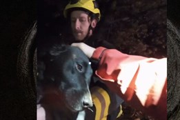 Sára spadla do hluboké studny. Zachránila ji parta skvělých hasičů