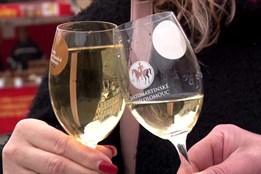 Svatomartinské slavnosti v Olomouci: bohatý program a víno na Horním náměstí