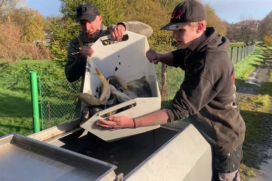 Rybáři i na podzim zarybňují své revíry