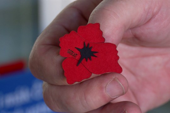 Přijďte si pro vlčí mák – Uherský Brod se připojuje k akci pro válečné veterány