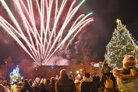 Rozsvícené stromy, světelná show i svařák na statku. Plzeňská jednička láká na kouzelný advent