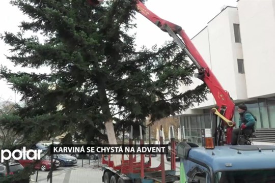 V Karviné se v rámci přípravy na letošní advent těžily vánoční stromy