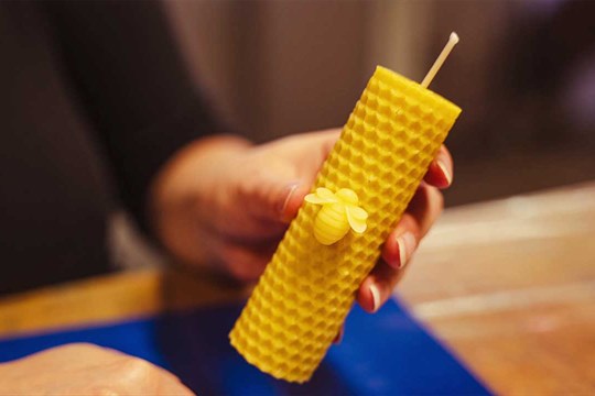 Olomoucká Pevnost poznání propojí vědu a přírodu