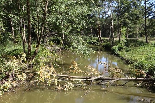 V Domě přírody Bílých Karpat se představila CHKO Soutok