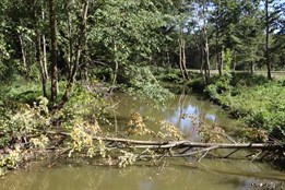 V Domě přírody Bílých Karpat se představila CHKO Soutok