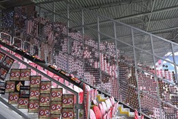 Řádění slávistických příznivců řeší policisté. Pátrá po dvou zraněných