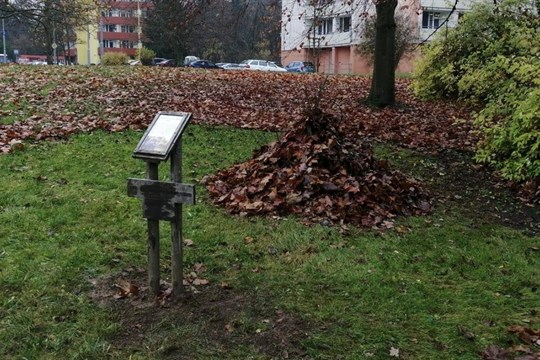 Trojka chrání ježky. Městský obvod pomáhá malým obyvatelům přežít zimu