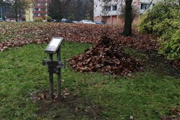 Trojka chrání ježky. Městský obvod pomáhá malým obyvatelům přežít zimu