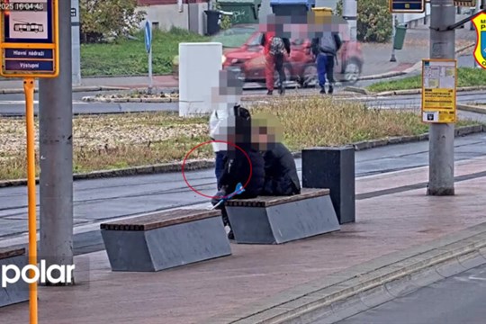 Odepnul řetízek nepozornému muži. Zloděj chycen díky kamerám