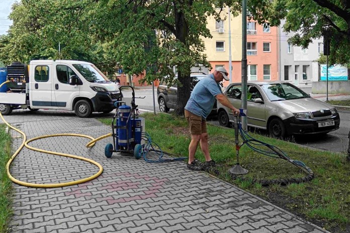 Půdní injektáž prodlouží lípám život, zabrat jim dala rekonstrukce tramvajové trati