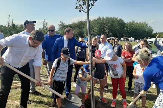 Europoslanci zasadili v Plzni stromy