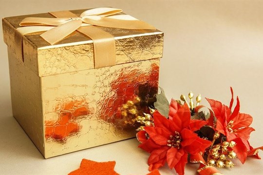 Ježíšek chodí i ve Fakultní nemocnici Plzeň