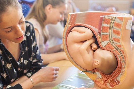 Název se mění, poslání zůstává. Seznamte se s profesí porodní báby, asistentky či duly