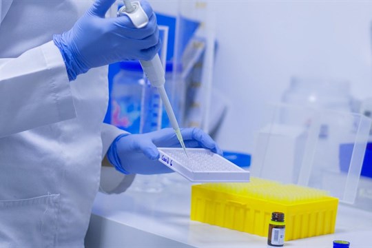 Protilátky proti covidu vydrží nejdéle rok, zjistili výzkumníci z FN Plzeň