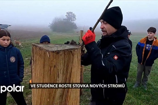 Ve Studénce roste stovka nových stromů