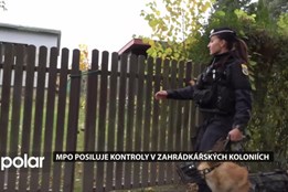 Městská policie posílila kontroly v ostravských zahrádkářských koloniích