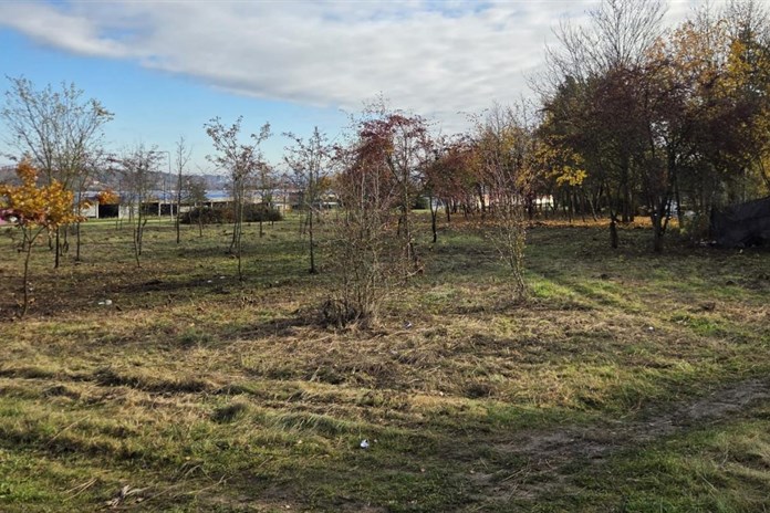 Nepořádek a provizorní přístřešky. S úklidem části Skvrňan pomáhali bezdomovci