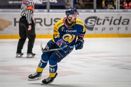 Beranům vypomůže liberecký obránce Aubrecht, extraligu si může zahrát Hanousek 